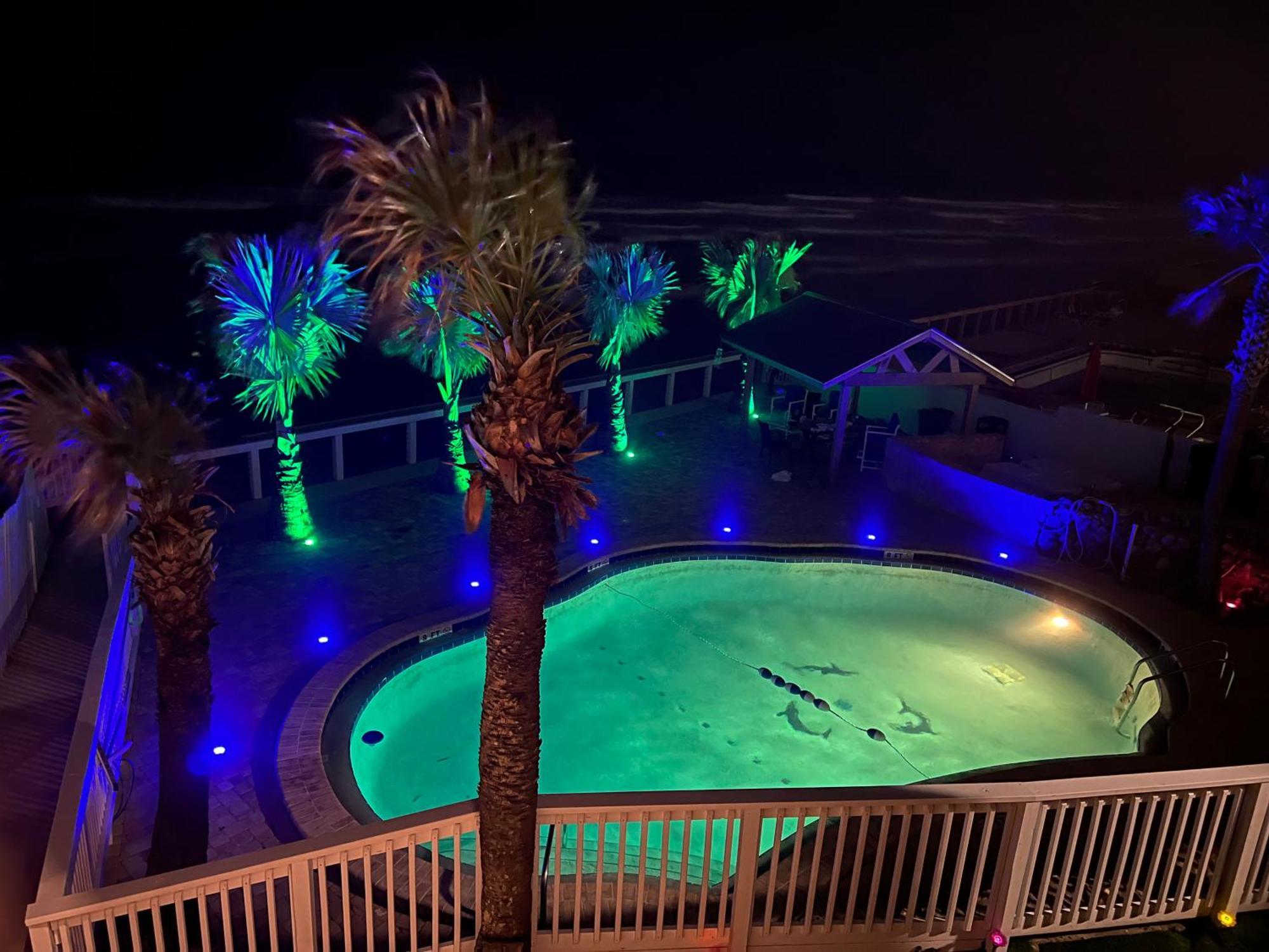 Flamingo Inn Beachfront - Daytona Beach Exterior foto